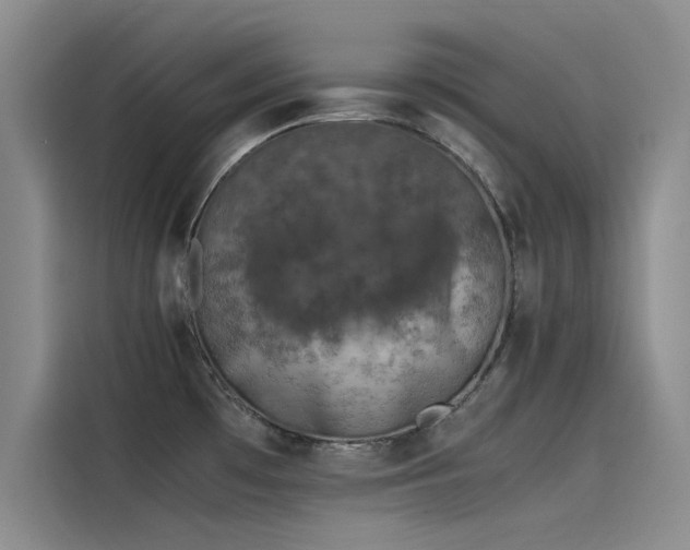 X0000115501481200911131311