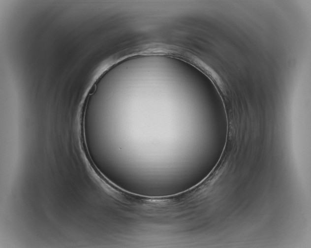X0000115501483200911131311
