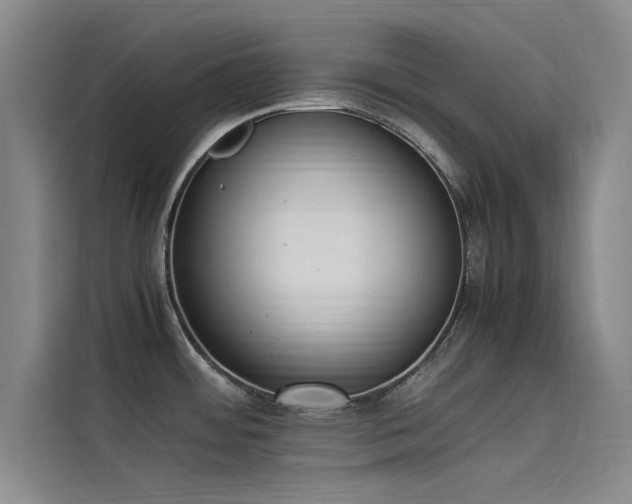 X0000115501484200911131311