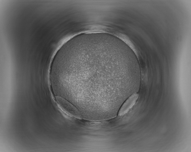 X0000115501485200911131311