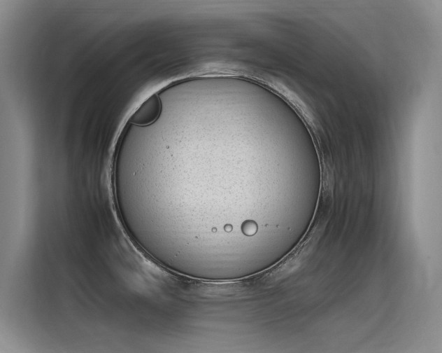 X0000115501486200911131311