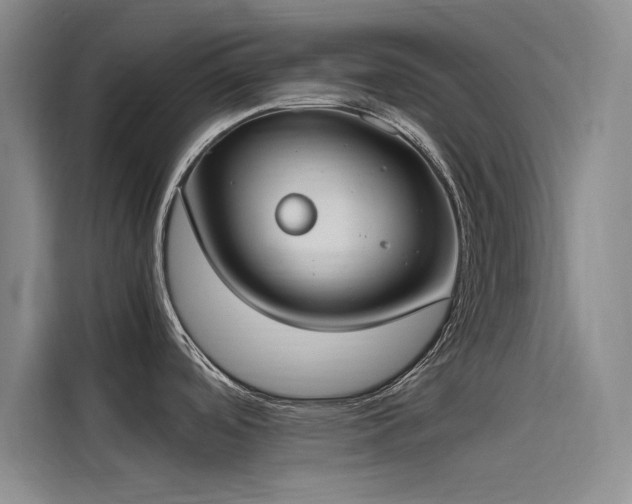 X0000115501488200911131311