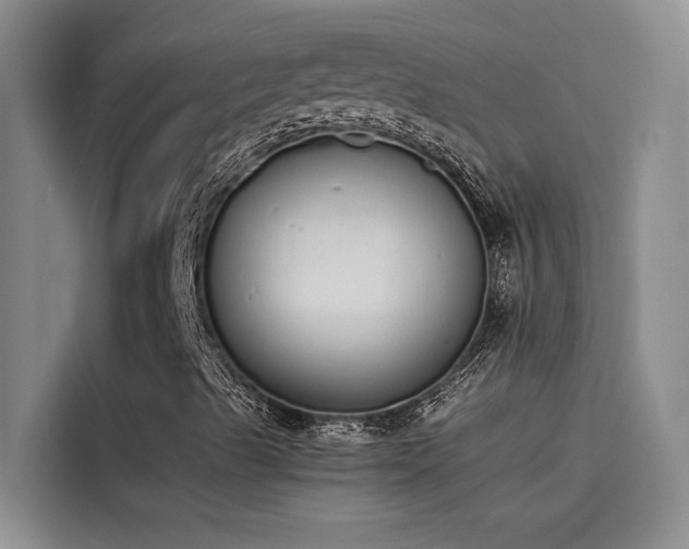 X0000115501489200911131310