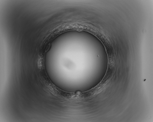 X0000115501490200911131310
