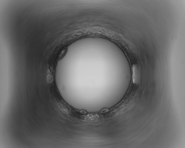 X0000115501491200911131310