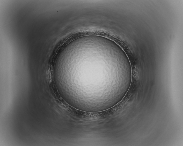 X0000115501493200911131310