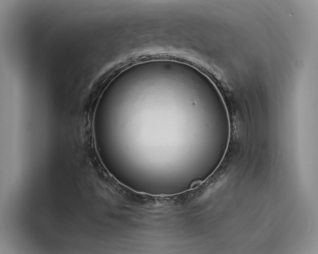 X0000115501494200911131310