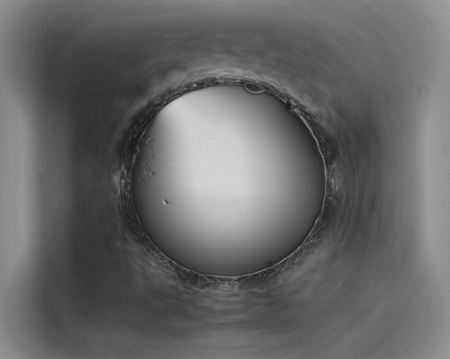 X0000115501495200911131310