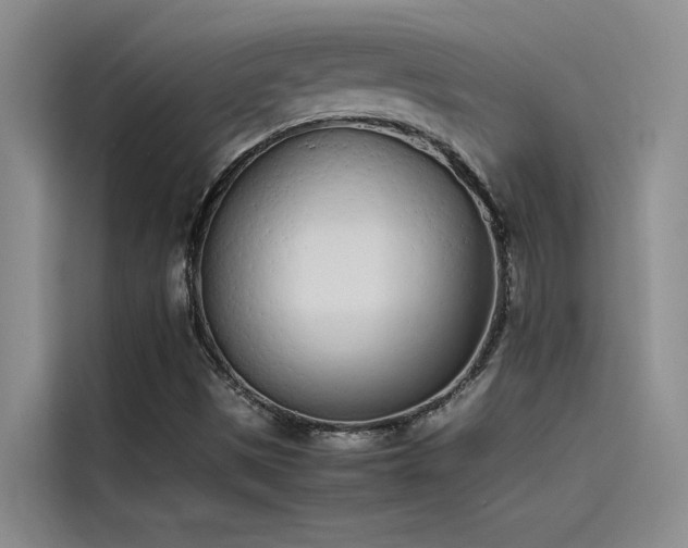 X0000115501497200911131310