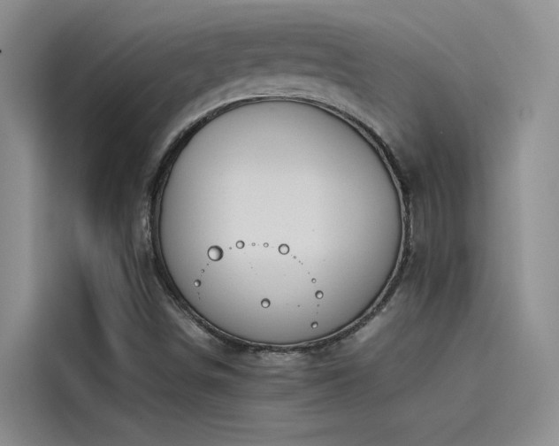 X0000115501498200911131310