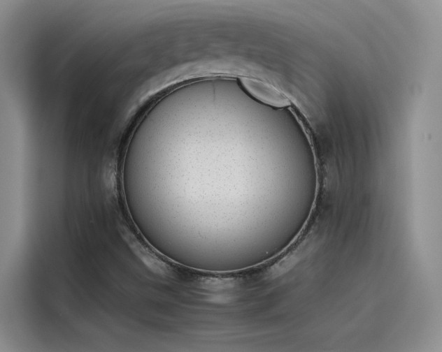 X0000115501499200911131310