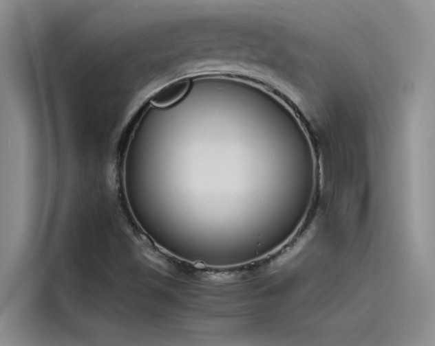 X0000115501501200911131310