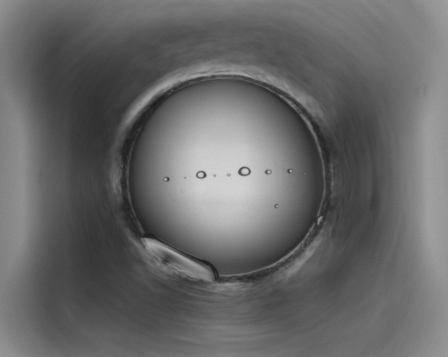 X0000115501502200911131310