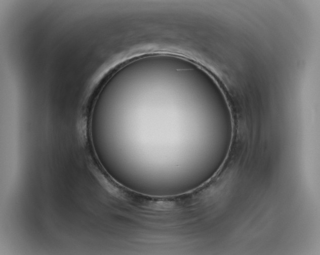 X0000115501503200911131310