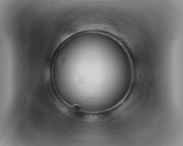 X0000115501505200911131310