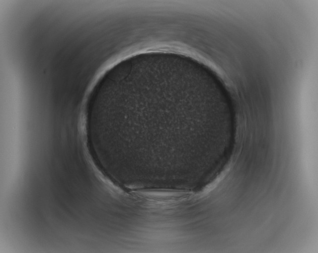 X0000115501506200911131310