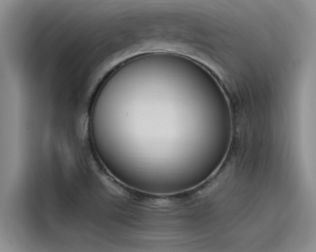 X0000115501507200911131310