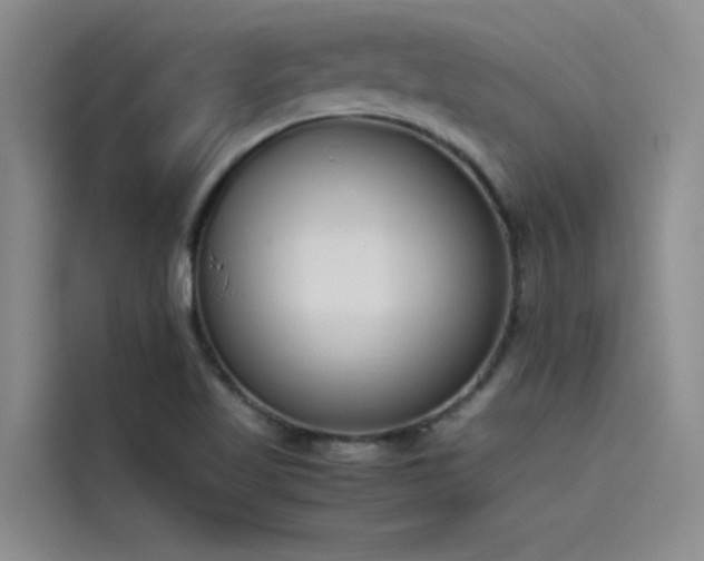 X0000115501509200911131310