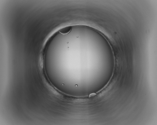 X0000115501510200911131310