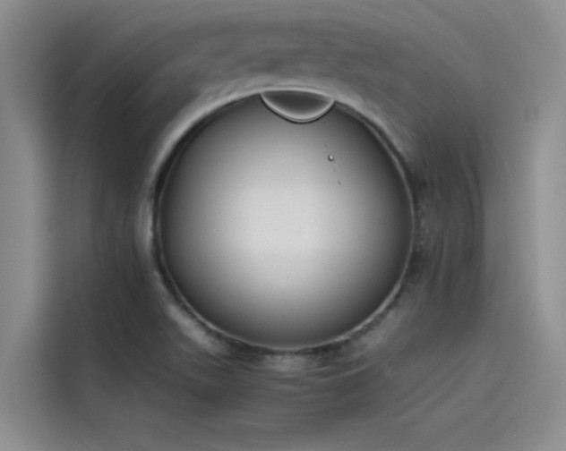 X0000115501511200911131310