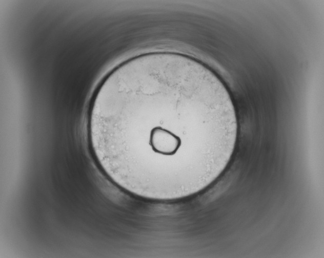 X0000115501514200911131310