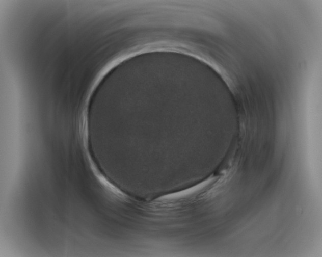 X0000115501515200911131310