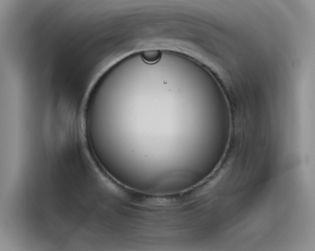 X0000115501517200911131311