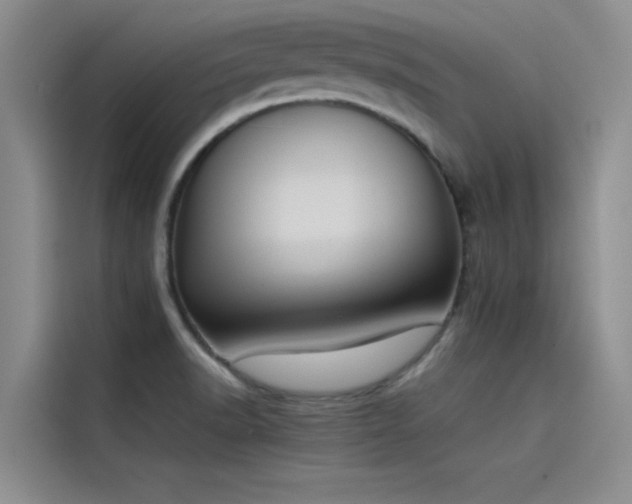 X0000115501518200911131311