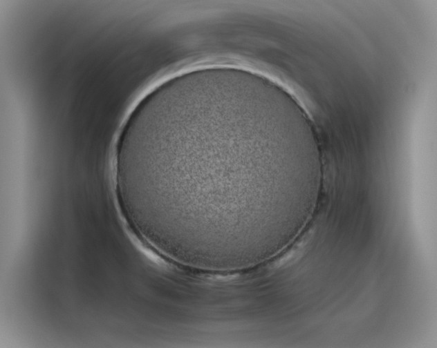 X0000115501519200911131311