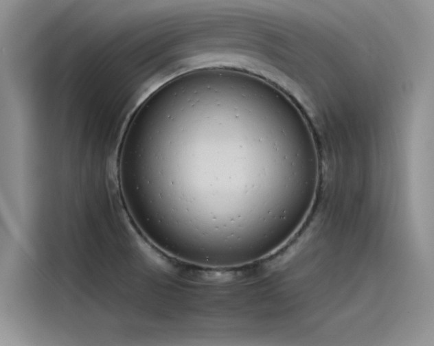 X0000115501521200911131311