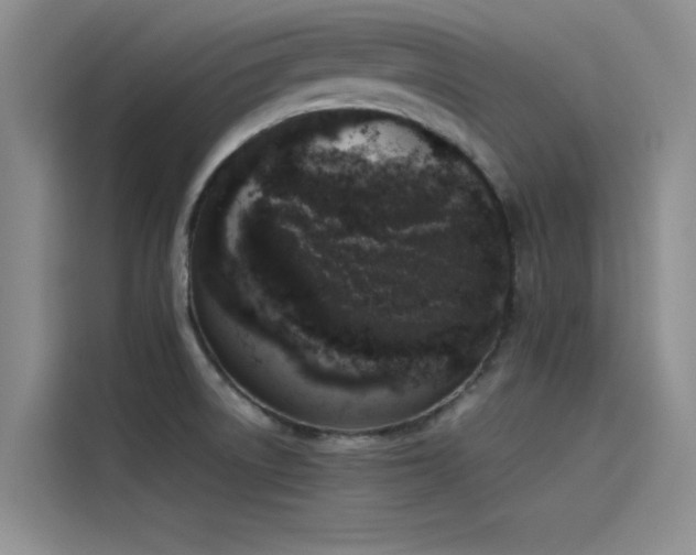 X0000115501522200911131311