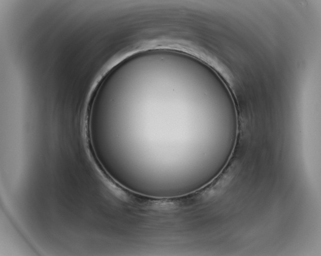X0000115501525200911131311