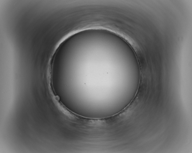 X0000115501526200911131311