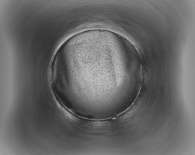 X0000115501527200911131311