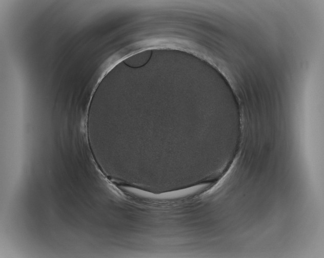 X0000115501529200911131311