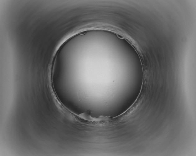 X0000115501530200911131311