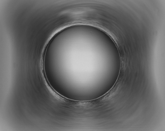 X0000115501531200911131311
