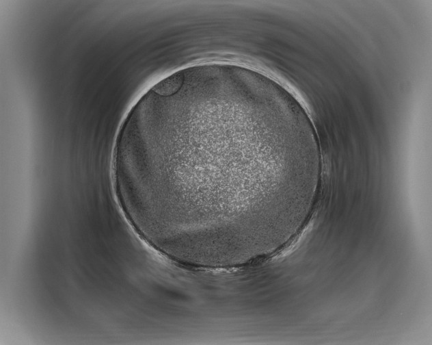 X0000115501533200911131311