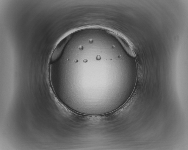 X0000115501534200911131311