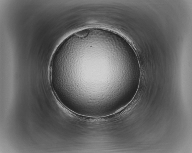 X0000115501535200911131311