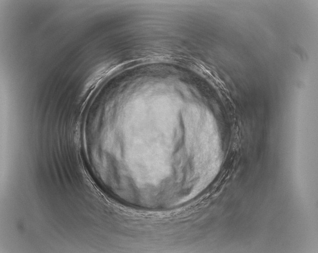 X0000115500002200911201628