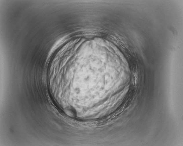 X0000115500004200911201628