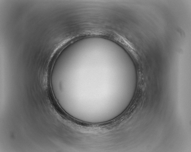 X0000115500012200911201628