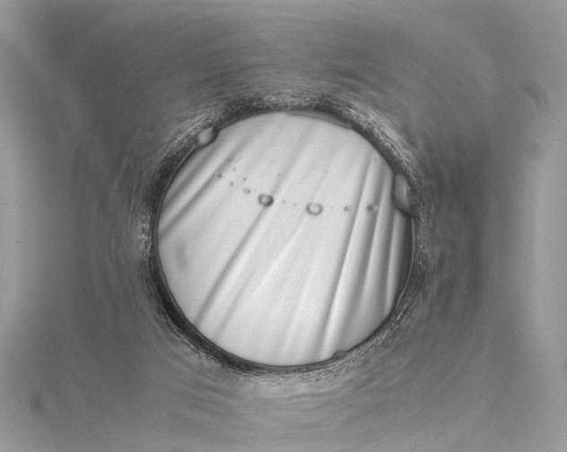 X0000115500017200911201628