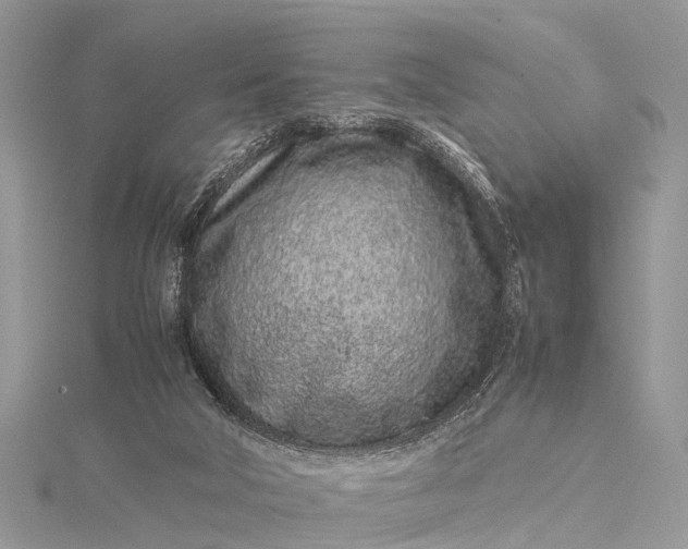 X0000115500018200911201628