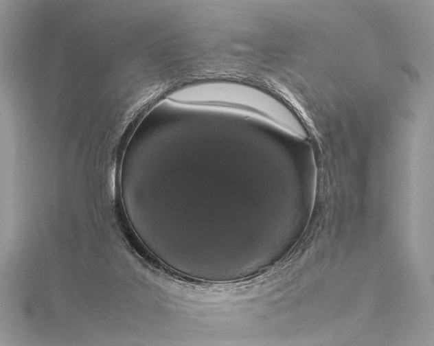 X0000115500019200911201628