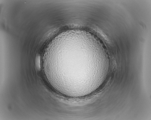 X0000115500022200911201628