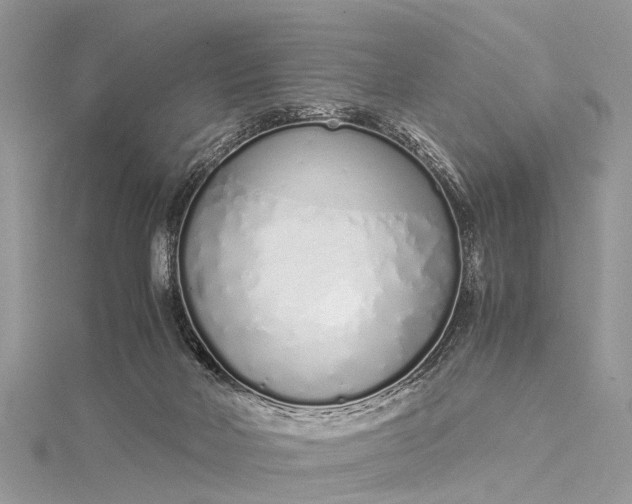X0000115500026200911201628