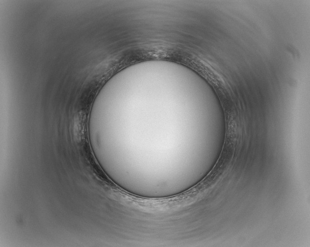 X0000115500030200911201628