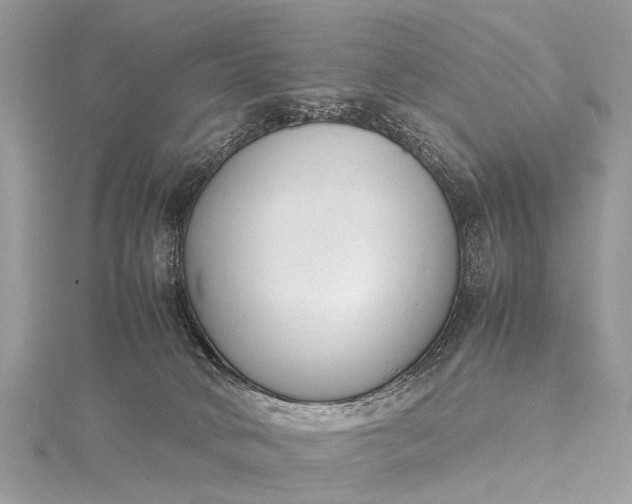 X0000115500034200911201628
